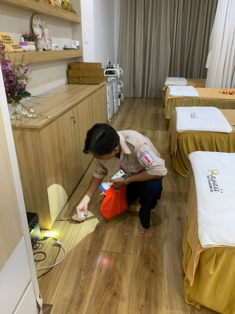 Dịch vụ diệt mối